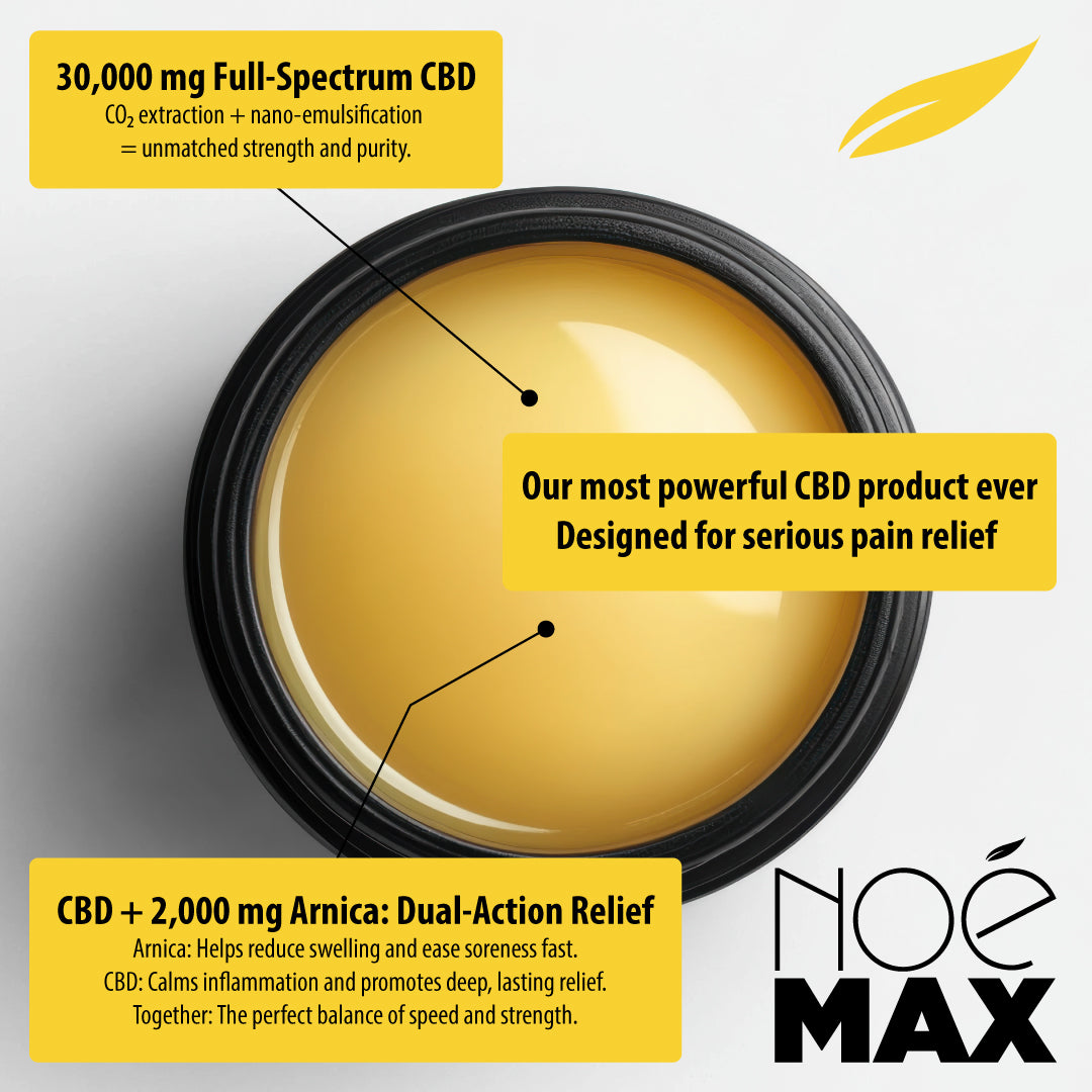 Noe Max CBD Stick with 30000 mg of Full Spectrum CBD