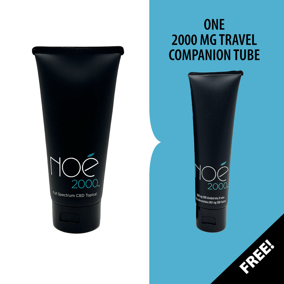 NKB N-1 CREAM 20g 保湿・プロバイオティクス 2000 mg CBD Topical Cream for All Natural Pain Relief – Noé Fresh